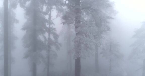 航拍山林雪景