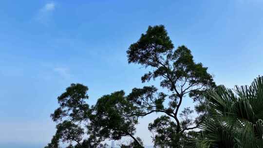 香港航拍