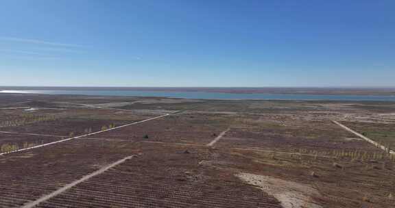 新疆阿勒泰戈宝麻花海景区航拍