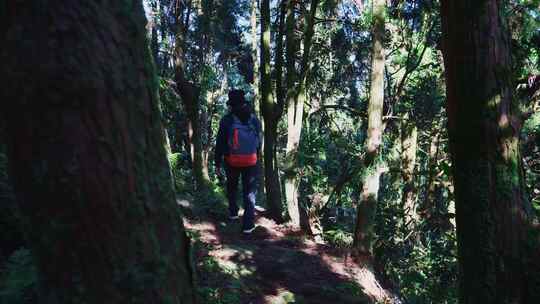 背包客徒步树林行走一个人的旅行