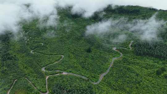 川西王岗坪景区航拍云海雪山壮丽风光