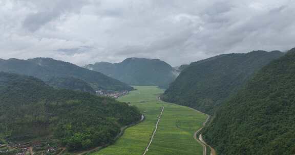 云南翁丁烟叶田航拍