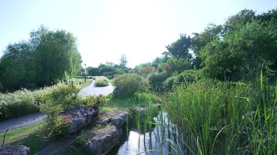 武汉东湖生态旅游风景区