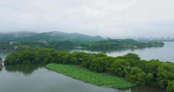 杭州西湖烟雨苏堤三潭印月雷峰塔