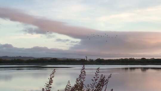 日落时分，鸟儿飞过一个工业池塘。