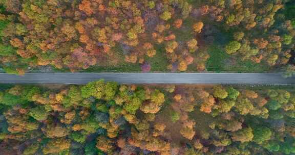 穿过山林的道路航拍