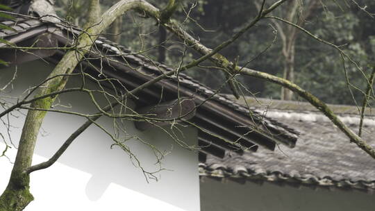 杭州西湖 灵隐寺 园林 森林 山水 庭院 安缦