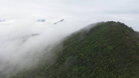 唯美清晨山间云雾