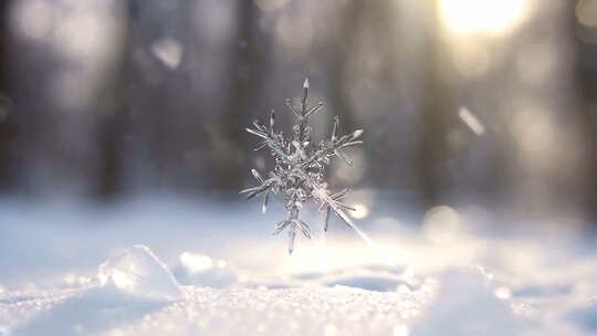 冰晶雪花