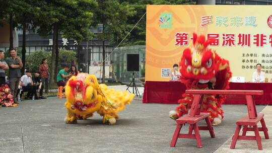 喜庆热闹庆祝春节舞狮敲锣打鼓