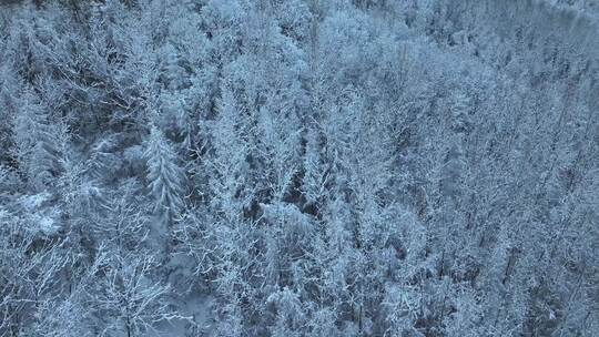 航拍东北下暴雪林海雪原威虎山