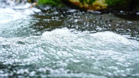 水青苔山泉水流水滴水风景森林自然大自然水