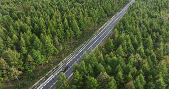 穿过森林的道路俯瞰航拍