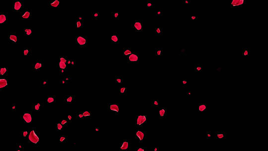 4K红色花瓣粒子飘扬通道视频-循环1