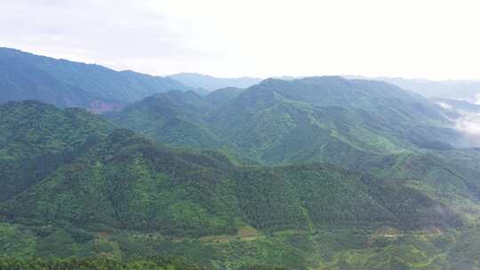 航拍雨后的山林