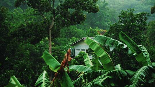 雨中的山间小屋