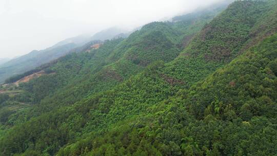 重庆山火后，北碚缙云山迎来降雨，云雾缭绕