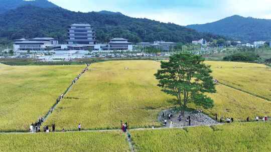 中国广东省广州市从化区广州国家版本馆