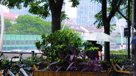 下暴雨下大雨下雨天雨水雨滴街景街道街头风