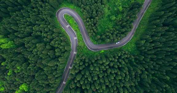 汽车行驶在山路树林中