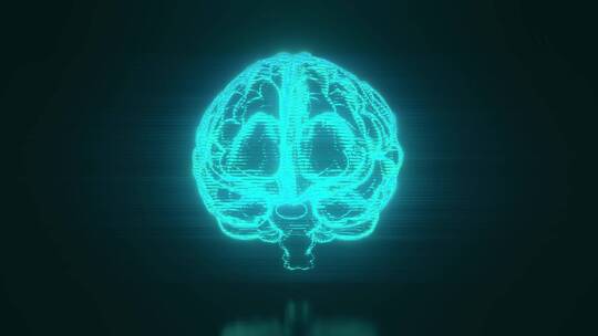 3d人体大脑器官全息图可视化环绕动画