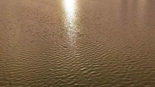 湖水 公园 风景  黄昏 城市 夏天 傍晚