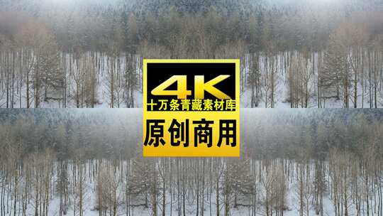 青海互助龙王山雪山树林航拍视频高清在线视频素材下载