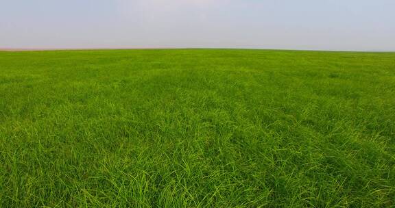 夏日草原天空