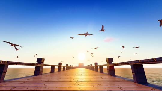 夕阳下海洋码头海鸥自由飞舞