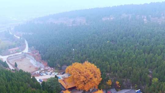 山东济南淌豆寺秋天航拍寺庙