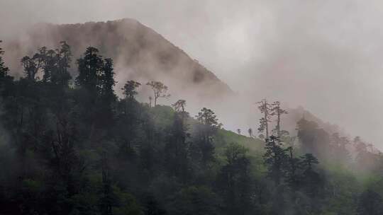 山中雨雾烟雾缭绕