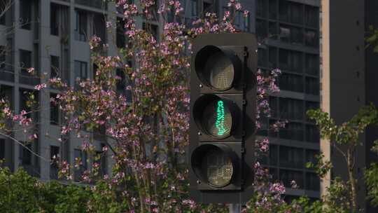 街道路口交通红绿灯指示灯视频素材模板下载