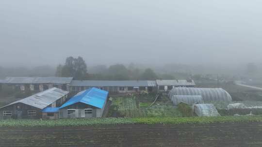 航拍晨雾中的乡村农家院