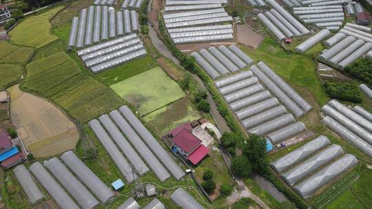 航拍乡村田园农业种植基地