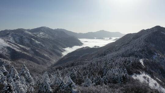 航拍湖北神农架风景区冬季雪山冰雪风光雪景