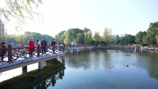 武汉东西湖常青花园中心公园风景