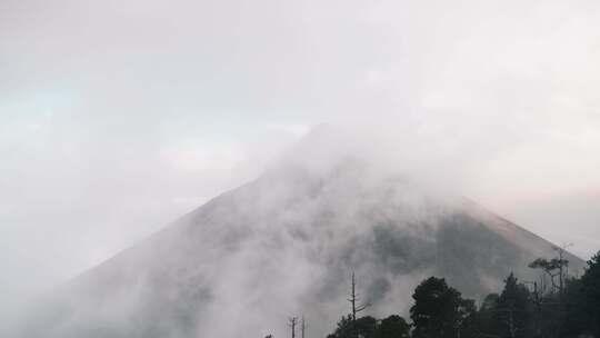 森林地区被雾覆盖的山顶