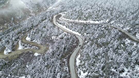 汽车在冰天雪地的公路上行驶