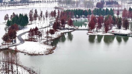 航拍湿地公园雪景树林湖岛木屋鸟类杉树木