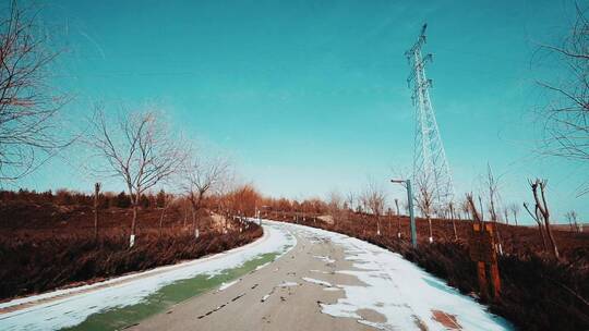 公园道路边风景