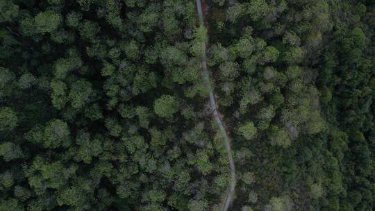 顶视航拍马峦山汤坑手作步道一期E视频素材模板下载