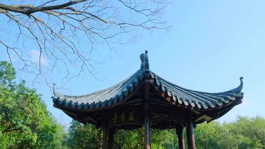 中式园林庭院凉亭古木飞檐翘角