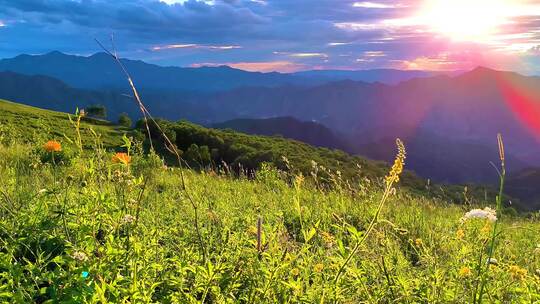 夏天高山草甸日出风光