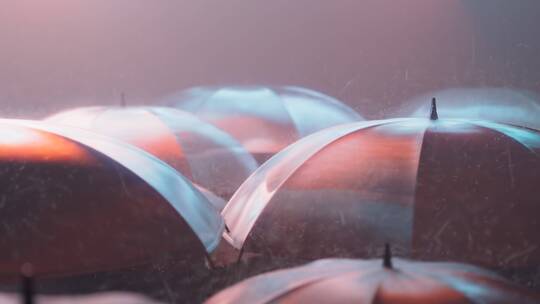 下雨 雨水 雨滴