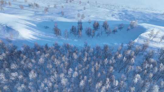 极寒雪原上银装素裹白桦林