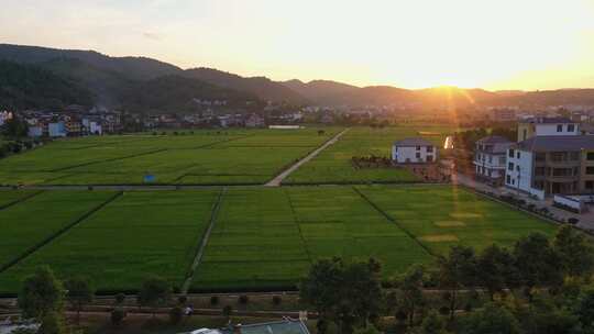 乡村田野夕阳全景