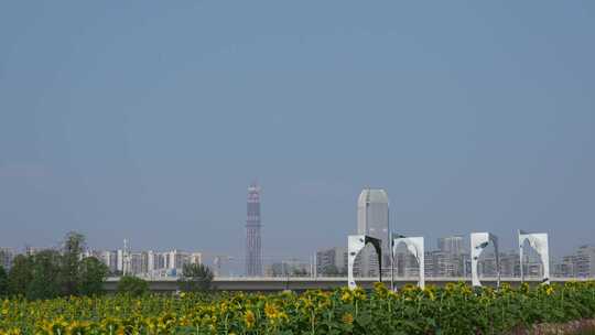 成都有花田前景的高铁道路与城市