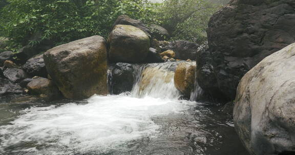 夏日山涧溪流湿漉漉