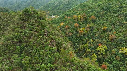 靖安隐仙谷山区7