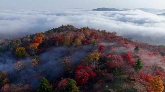 4K秋天五花山吉林东北秋景日出云海云雾逆光